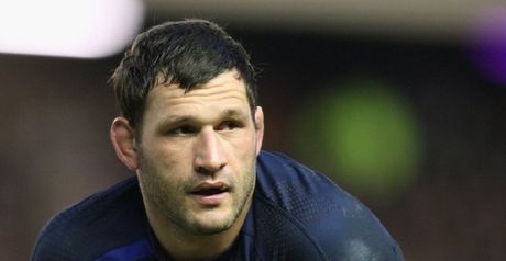 Nallet: Relishing Wasps game