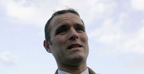 Evan Williams: Waiting for William's Wishes