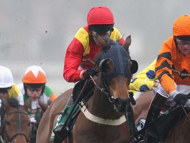 Former Cheltenham Festival runner-up Faasel finished third at Black Forest Lodge
