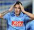 Hamsik image