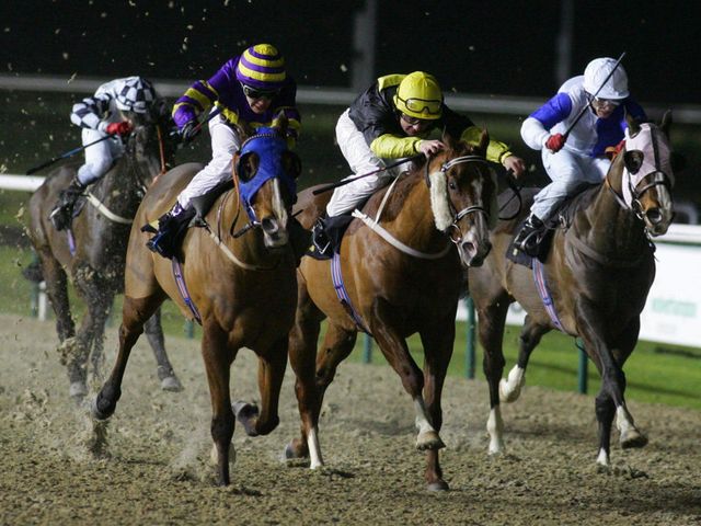 They race at Wolverhampton on Tuesday