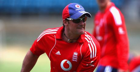 Strauss: considering his options