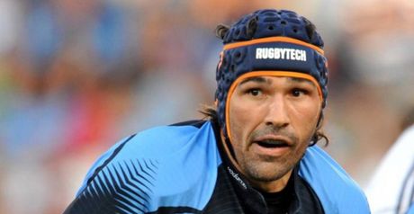 Matfield: Ready