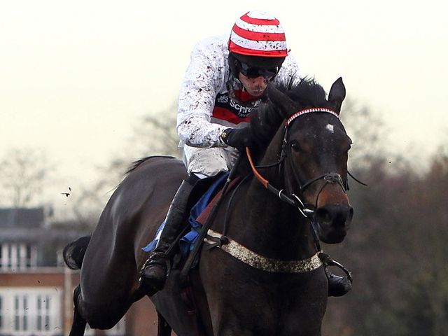 Manyriverstocross: Wayne's ride in the Betfair Hurdle