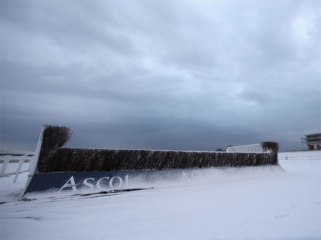 Ascot: Snow-bound