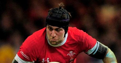 Jones: autumn internationals a chance for hopefuls