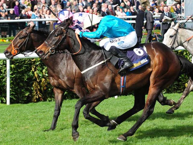 Irish Heartbeat: The final charity bet of 2012