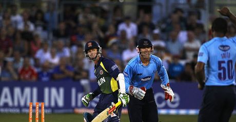 Flower in action for Essex