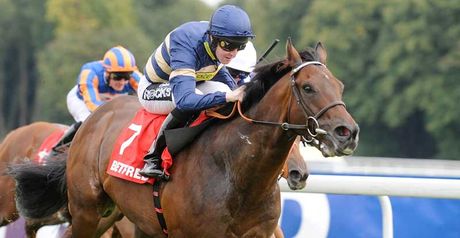 Markab: Has options in Ireland