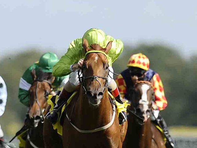 Temple Meads: Could be the right type for the Dolce Vita Handicap