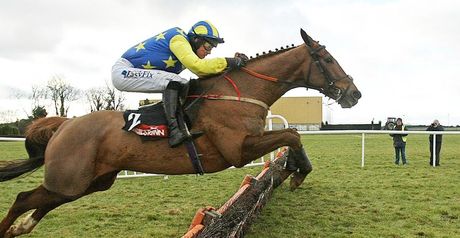 Luska Lad: Back in action at Galway