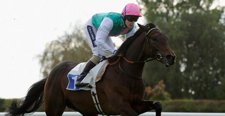 Picture Editor: a better bet than Frankel?