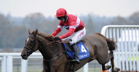 Silviniaco Conti: Cheltenham bound