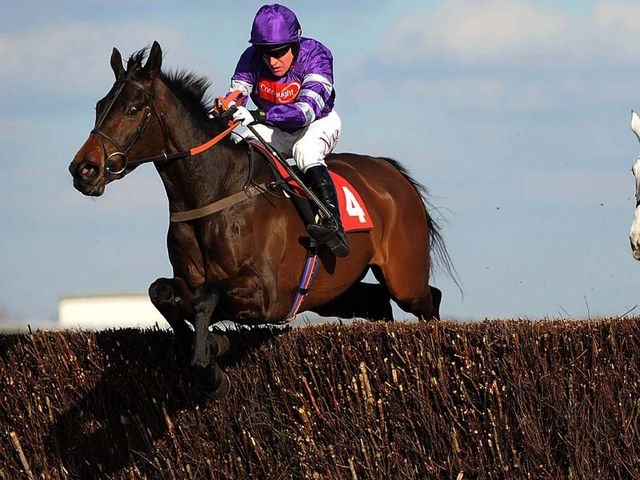 Big Fella Thanks: Becher Chase hopeful