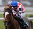 The Giant Bolster