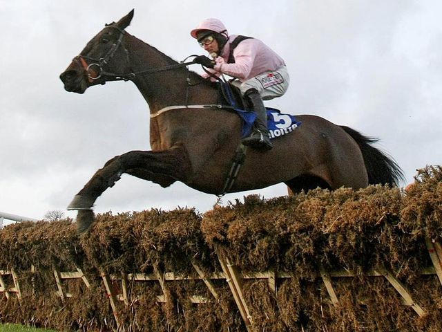 Oscars Well: Fell at Punchestown at the weekend