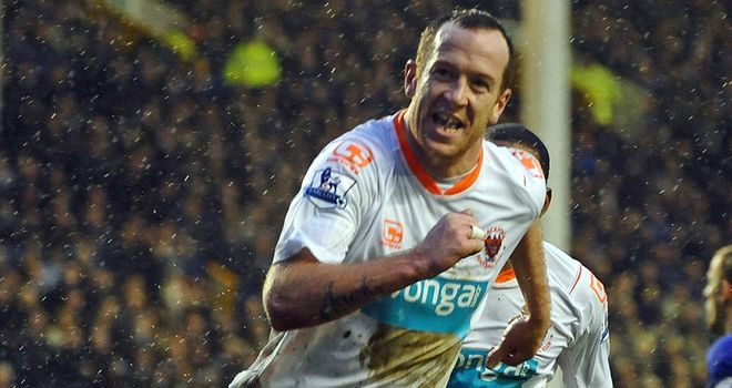 Adam: Determined to help Blackpool preserve their top flight status