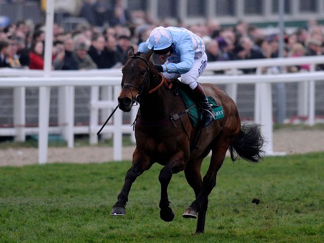 Cheltenian: A decision will be made 'nearer the time'