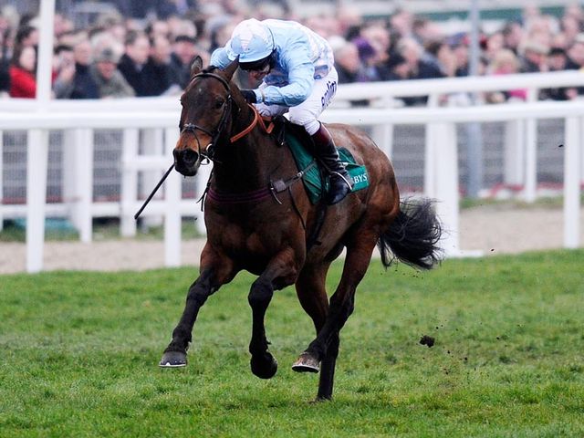 Cheltenian winning last year's Champion Bumper