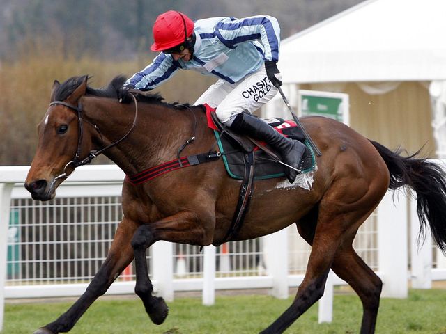 Swimcombe Flame: Well backed at Kempton