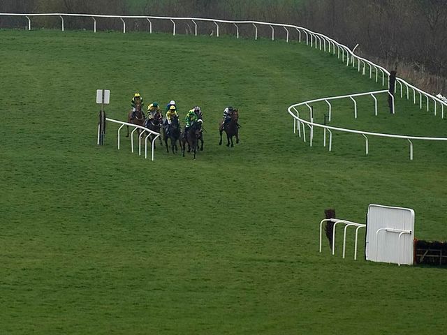 Runners in action at Taunton