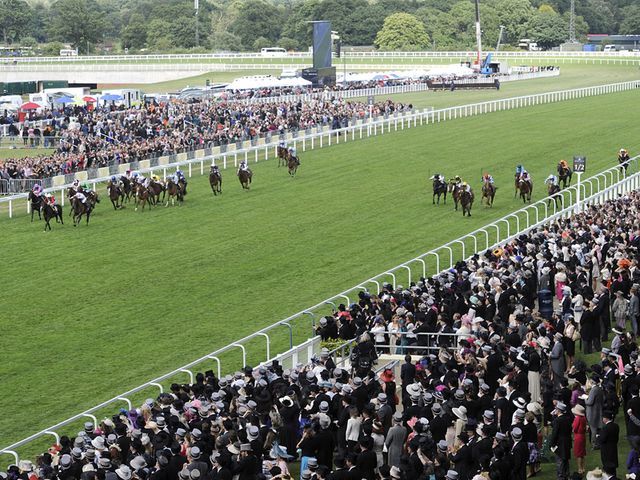 Ascot: Soft ground and more rain forecast on Wednesday night