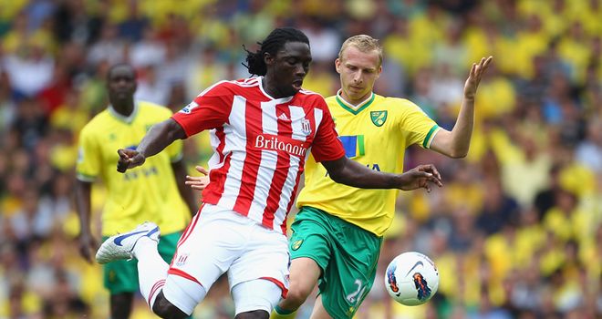 Kenwyne Jones: Has slipped down the pecking order at the Britannia Stadium
