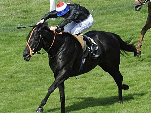 Society Rock: Plenty of stall practice ahead of the Darley July Cup