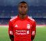 David Amoo