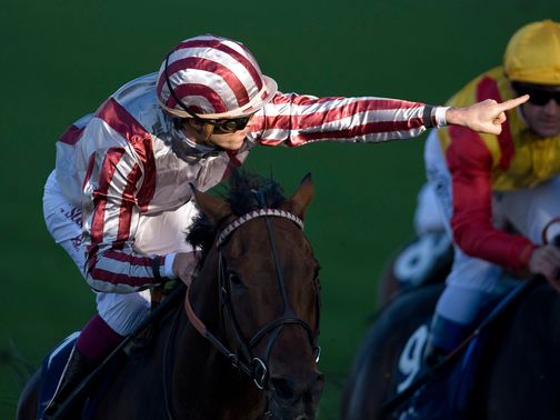 Cirrus Des Aigles: Longchamp then Ascot his autumn plan