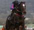 Champion Court (IRE)