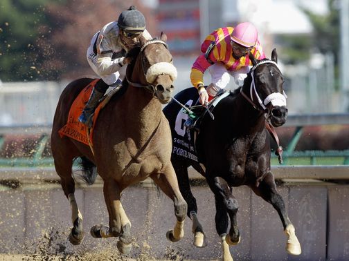 Amazombie: Added to GC's portfolio at the Breeders' Cup