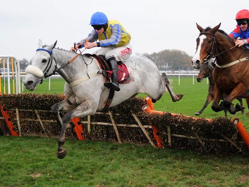 Any Given Day: Due to run at Kelso