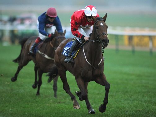 The New One: Jockey says he knows what to do now