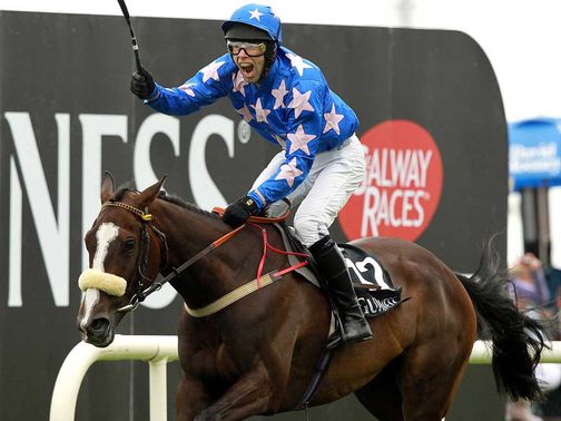Moon Dice: Cheltenham target next weekend