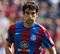 Jedinak
