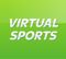 Virtual Motor Racing