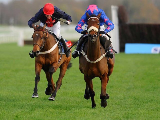 Bobs Worth (L): In action at the track last season