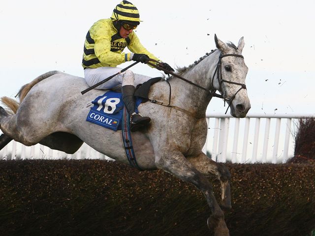 Silver By Nature: Declared to run at Haydock