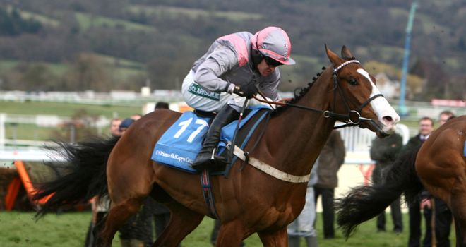 Punjabi: Could run at Bangor