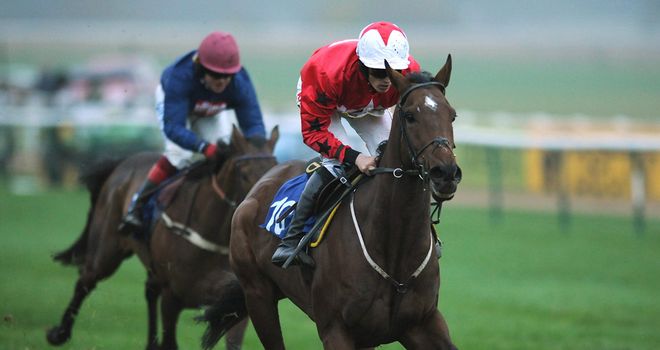 The New One: Jockey says he knows what to do now