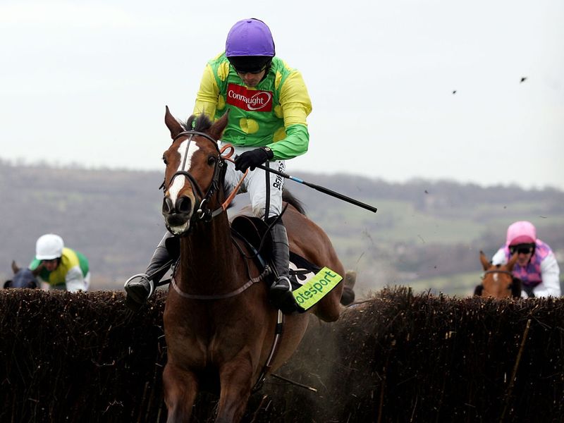 It gets even better in the Cheltenham Gold Cup.