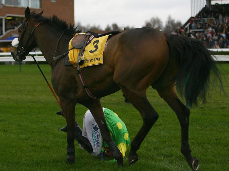 ...in the Betfair Chase at Haydock.