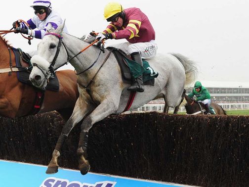 Chicago Grey: Red Mills winner