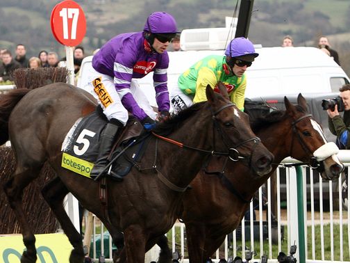 Denman and Kauto Star: How did you do in the early rounds?