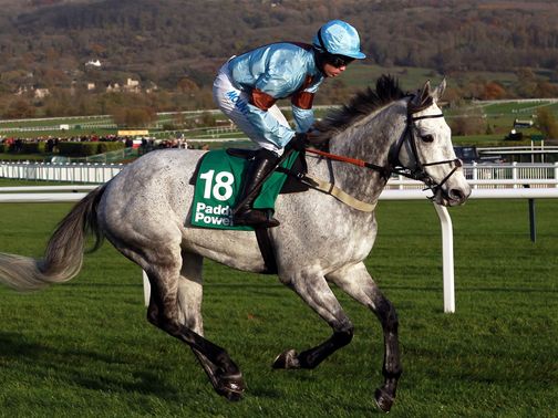 Divers: Looks an over-priced contender