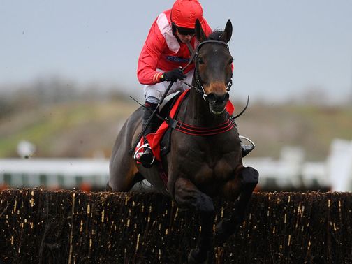 Gauvain: Won the 2011 Peterborough Chase
