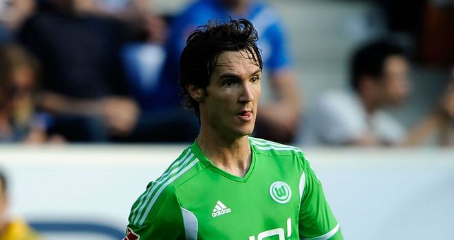 Srdjan Lakic: The Wolfsburg player has been reported as a transfer target