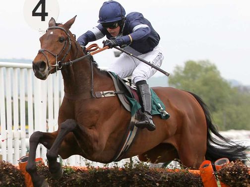 Alasi: Could go straight to Cheltenham