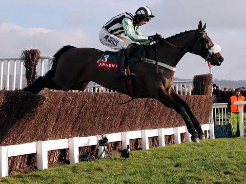 Midnight Chase: 'As good as ever' according to trainer